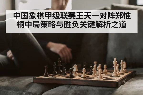 中国象棋甲级联赛王天一对阵郑惟桐中局策略与胜负关键解析之道