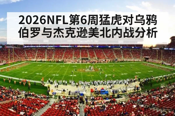 nfl football stadium action